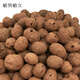 Planting men and women large ceramsite ball bottom flower gardening hydroponic flower pot special particle small light seed paving stone 500g