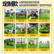 Simulated lawn carpet artificial artificial balcony floor mat kindergarten green outdoor fake grass plastic turf decoration 2cm extra dense spring grass (2m wide 25m) 50 square meters