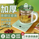Health pot household multifunctional universal 1.8L tea making pot glass high temperature resistant thickened scented tea making tea thickening with filter + egg rack (renewed every 6 years) extension cord 1.8L