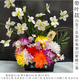 Jingga grave-sweeping fake flowers go to the grave and sweep the graves in front of the gravestones silk flowers fake flowers Qingming Festival sacrificial flowers plastic simulated chrysanthemum bouquet display basket_with leaves_white freesia plus yellow and white chrysanthemum plus white purple_height 55 cm wide 60