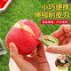 随身便携水果削皮刀迷你去皮器不锈钢可伸缩刀架户外露营刨子神器 迷你便携削皮刀【1个】