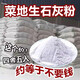 生石灰粉50斤干燥杀菌消毒除湿防潮防霉吸水净种菜杀虫驱除臭刷树 生石灰粉[20斤装]