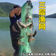 He Jiagong fishing net fishing net sticky net three-layer sunken net fishing net imported wire mesh 100 meters weighted thickened white striped crucian carp hanging net three-layer sunken net 1 meter high 50 meters long 1 finger eye