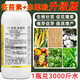 Gibberellic acid brassin plant growth regulator Yuntaisu lactone fruit tree and vegetable foliar fertilizer rooting agent to promote flowering 1000ml