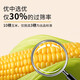 Maíz ceroso dulce fresco del noreste, 180 g-220 g, maíz ceroso amarillo, envasado al vacío, reemplazo de comida dulce cerosa suave, 180 g-220 g, maíz ceroso amarillo, paquete de 4