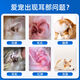 Ear Bleaching Cat Ear Wash Ear Skin Cleanser Ear Mite Cat Special Dog Pet Ear Drops Cat Ear Cleaning Large bottle is more cost-effective Ear Bleaching 125ml 0g