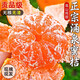 Jingmi Zhejiang Taizhou Yongquan Mandarine, Nettogewicht 2,5 Jin Jin entspricht 0,5 kg, Einzelfrucht 55 mm+, Zitrusfrucht-Geschenkbox, direkt von der Quelle