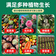 General culture soil for flowers 30 household nutrient soil gardening flower soil soil planting soil Shanghai