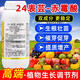 Gibberellic acid brassin plant growth regulator Yuntaisu lactone fruit tree and vegetable foliar fertilizer rooting agent to promote flowering 1000ml