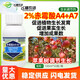 Xinrui Fengruijunguo 2% A4+A7 gibberellic acid soluble agent apple tree growth promoting plant growth regulator 100ml