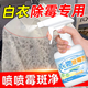 Clothes Mildew and Mildew Spot Cleaner Clothes Mildew Remover Mildew Bleach Powder Mold Removal Cleaning Artifact to Remove Black Clothes Mildew Remover 300ml Bottle