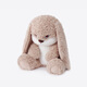 Choosing a Mate Second Generation Diudiu Rabbit Sleeping Doll Valentine's Day Gift Box for Girls Cute Rabbit Plush Toy Doll