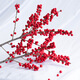 Jingdong flowers imported holly (40-45CM) cut 3 branches free hanging card red fruit flowers interior decoration flowers straight from the source