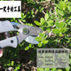 Fukuoka tools garden shears, fruit tree pruning shears, gardening shears, labor-saving scissors FO4313 FO-4313