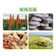 Guoguang Triacontanol Sorghum Peanut Pleurotus Oyster Mushroom Wheat Flower Bud Differentiator Yield Increase Agent Plant Growth Regulator 450ml