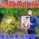 黄龙病果树专用药治柑橘脐橙黄龙病黄化病黄叶卷叶专用药营养液 3袋【买二送一】果树专用
