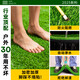 Fake Turf Simulated Lawn Green Carpet Outdoor Artificial Plastic Artificial Bionic Outdoor Insulation Enclosure Football Field 2cm Newly Upgraded Encrypted High-Quality Spring Grass 25 Square Meters 1 Meter Wide * 25 Meter Long (Full Roll)