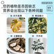 Dewoduo sheep manure organic fertilizer 5KG universal plant potted flower fertilizer flower green plant sheep manure egg fermented sheep manure fertilizer Inner Mongolia