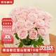 Jingdong Flowers Pink Snow Mountain Roses 10 Ruyi Base Fresh Cut Flowers Water-raised Flower Arrangement Life Bouquet Straight from the Source