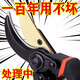 ZNMW branch cutting scissors, fruit tree pruning shears, garden thick branch pruning scissors, flower pruning shears for picking fruits, pruning shears with handle sheaths