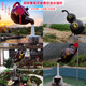 Aoyanlai sky pot suspended flowing water ornaments outdoor landscape waterscape decoration kettle fountain glass fiber reinforced plastic large sky pot pot belly 50 diameter (internal circulation) fixed jin