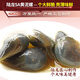 Lulong drunk mud snail 5A yellow mud snail 760g, big fat, ready to eat, Ningbo time-honored brand, special seafood and aquatic products