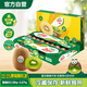 Zespri Green Kiwi Extra Large Fruit 22-25 Original Box Single Fruit Approximately 133-176g Kiwi Fruit