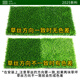 Fake Turf Simulated Lawn Green Carpet Outdoor Artificial Plastic Artificial Bionic Outdoor Insulation Enclosure Football Field 2cm Newly Upgraded Encrypted High-Quality Spring Grass 25 Square Meters 1 Meter Wide * 25 Meter Long (Full Roll)