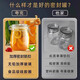 Quark glass sealed jar food-grade wine special bottle kimchi jar pickle pickle container honey empty bottle extra thick round 1000ml (2 pieces)