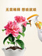 Dilution-free trifloxystrobin benzene, a special fungicide for rose plant powdery mildew, 800ml 2 bottles