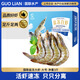 GUO LIAN Guolian salt-frozen prawns, net weight 3 Jin Jin equal to 0.5 kg, 75-90 live frozen vannamei prawns, fresh family banquet, seafood New Year gifts