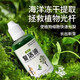 Plant and flower rejuvenation liquid is specially designed for the yellowing of plant stems and leaf drop, rapid growth and active rooting liquid to strengthen seedlings. Plant rejuvenation liquid 50ml*1 bottle, trial pack