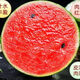 National 2k watermelon seeds thin-skin gift small watermelon pearl red watermelon non-split melon early spring ruby watermelon seeds 2K watermelon seeds/pack about 50 capsules 5 packs