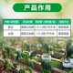 30% metalaxalin, soil disinfectant, fungicide pesticide, special medicine for root rot, blight, damping-off, 500g*1 bottle