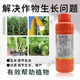 Guoguang Youlehong 8% amine fresh ester genuine growth regulator to promote root growth, promote cell division, preserve flowers and fruits, 500ml*2 bottles