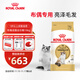 Royal Cat Food Ragdoll Adult Cat Food RA32 General Food 12 Months and Over 10KG
