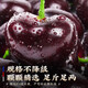 Fenlan Chilean cherries JD SF Express - next-day delivery to many places Imported large cherry gift box New Year's Day gift fruit 2Jin Jin equals 0.5kg (net weight) Extra large fruit 3J grade 30mm+