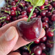 Fenlan Chilean cherries JD SF Express - next-day delivery to many places Imported large cherry gift box New Year's Day gift fruit 2Jin Jin equals 0.5kg (net weight) Extra large fruit 3J grade 30mm+