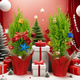 Merry Christmas small pine potted plant