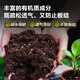 Deli Nutrient Soil Universal Flower Soil Succulent Orchid Soil Peat Soil Planting Soil Flower Vegetable Potting Soil 15L