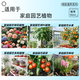 Dewoduo sheep manure organic fertilizer 5KG universal plant potted flower fertilizer flower green plant sheep manure egg fermented sheep manure fertilizer Inner Mongolia