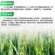 28 table high brassinolide plant growth regulator to protect flowers and fruit trees Yuntai lactone foliar fertilizer pesticide 1000g*5 bottles