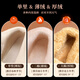 G.duck Girls' Boots Children's Martin Boots Genuine Leather Princess Short Boots 2025 New Winter Baby Plush Leather Boots Brown Single Liner (10~25 C) 23 The inner length of the shoe is about 15.2CM