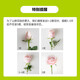 Rose Yunnan Flowers Wholesale Real Flowers Household Flowers Vase Water Growing Holiday Gift Rose Flowers Champagne Rose 18+2 Branches Loss-proof