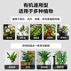 Deli Nutrient Soil Universal Flower Soil Succulent Orchid Soil Peat Soil Planting Soil Flower Vegetable Potting Soil 15L
