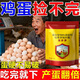 Egg Duoduo chickens, ducks, geese, general egg-laying treasure, egg-stimulating egg-stimulating device, special feed additive for improving egg quality in cold weather, 3 bags, can’t be picked up after eating