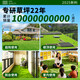 Fake Turf Simulated Lawn Green Carpet Outdoor Artificial Plastic Artificial Bionic Outdoor Insulation Enclosure Football Field 2cm Newly Upgraded Encrypted High-Quality Spring Grass 25 Square Meters 1 Meter Wide * 25 Meter Long (Full Roll)