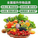 One hundred Jin Jin is equal to 0.5 kg, which is 99 urea nitrogen fertilizer, household vegetable, flower, fruit tree, corn agricultural general fertilizer, high urea 100 Jin Jin, equal to 0.5 kg, large particles