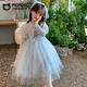 Piggy Banner (PEPCO) Mädchen Elsa Prinzessin Kleid Winterkleidung Kinder Modischer Winter Mädchen Elsa Rock Herbstkleid Blau 110