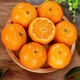 Sweet Guangxi Golden Autumn Sugar Orange Seasonal Fresh Fruit Sugar Orange Thin-Skinned Juicy Seasonal Fruit with Box 10Jin Jin equals 0.5kg